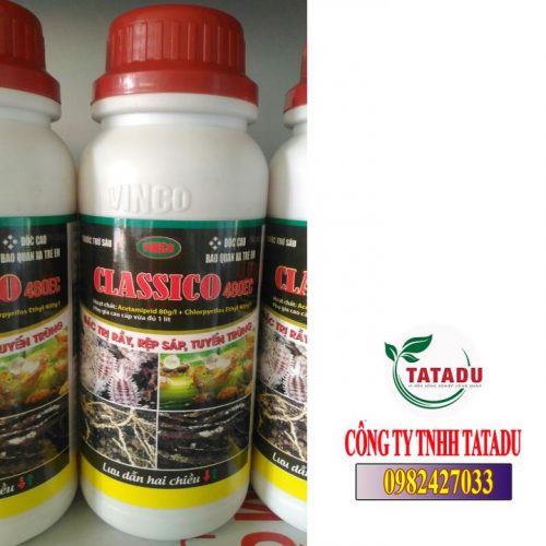CLASSICO 480EC THU C C TR M T C C NH TUY N TR NG R Y N U 
