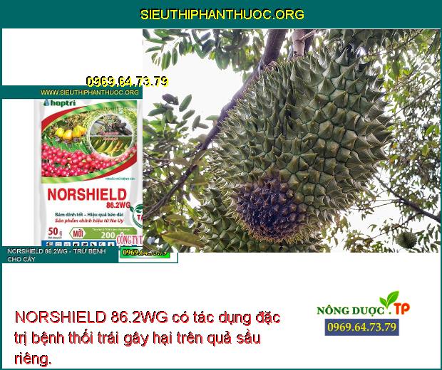 NORSHIELD 86.2WG có tác dụng đặc trị bệnh thối trái gây hại trên quả sầu riêng.