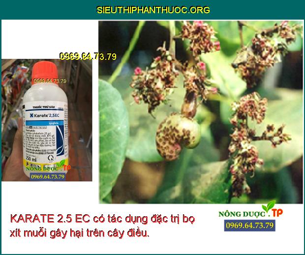 KARATE 2.5 EC có tác dụng đặc trị bọ xít muỗi gây hại trên cây điều.