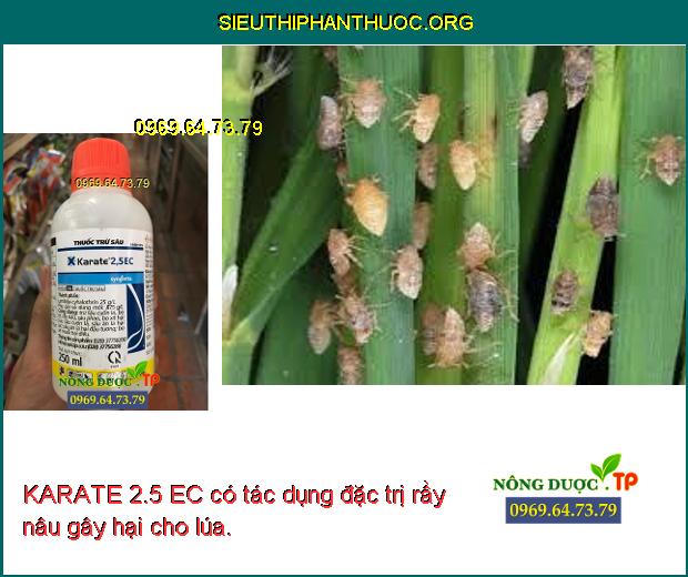KARATE 2.5 EC có tác dụng đặc trị rầy nâu gây hại cho lúa.