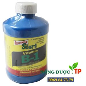 START VITAMIN B1 GROWMORE – PHÂN BÓN LÁ CAO CẤP CHO CÂY TRỒNG