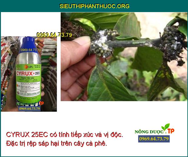 CYRUX 25EC có tính tiếp xúc và vị độc. Đặc trị rệp sáp hại trên cây cà phê.