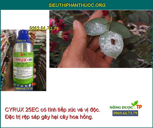 CYRUX 25EC có tính tiếp xúc và vị độc. Đặc trị rệp sáp gây hại cây hoa hồng.
