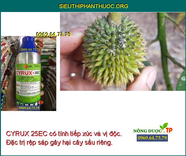 CYRUX 25EC có tính tiếp xúc và vị độc. Đặc trị rệp sáp gây hại cây sầu riêng.