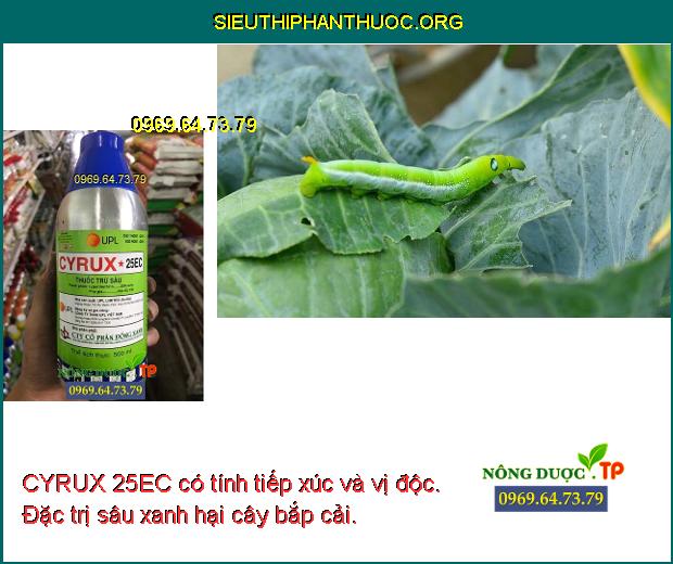CYRUX 25EC có tính tiếp xúc và vị độc. Đặc trị sâu xanh hại cây bắp cải.