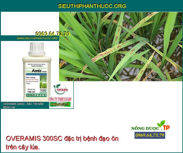 OVERAMIS 300SC đặc trị bệnh đạo ôn trên cây lúa.