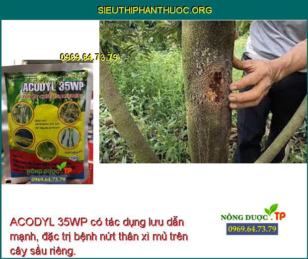 ACODYL 35WP có tác dụng lưu dẫn mạnh, đặc trị bệnh nứt thân xì mủ trên cây sầu riêng.