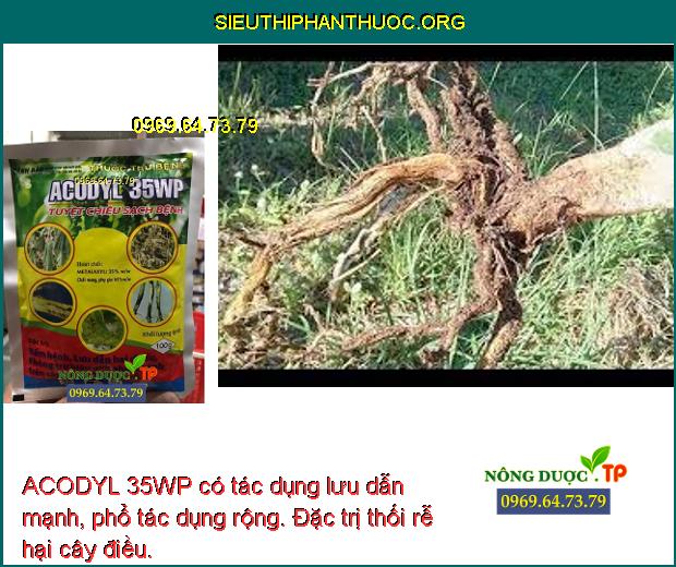 ACODYL 35WP có tác dụng lưu dẫn mạnh, phổ tác dụng rộng. Đặc trị thối rễ hại cây điều.