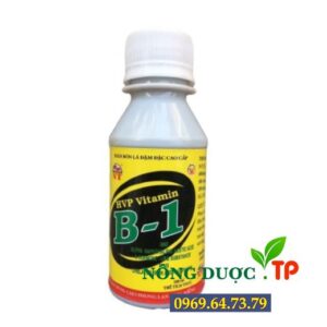 Phân Bón Lá Vitamin B1 HVP Chuyên Dùng Cho Hoa Lan, Cây Cảnh