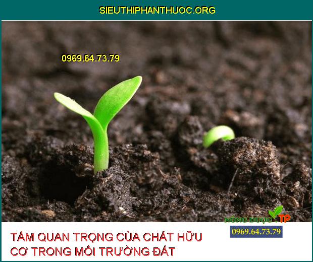 TẦM QUAN TRỌNG CỦA CHẤT HỮU CƠ TRONG MÔI TRƯỜNG ĐẤT