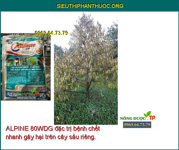 ALPINE 80WDG đặc trị bệnh chết nhanh gây hại trên cây sầu riêng.