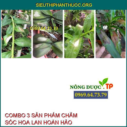 COMBO 3 SẢN PHẨM CHĂM SÓC HOA LAN HOÀN HẢO