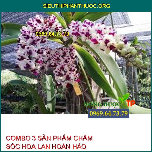 COMBO 3 SẢN PHẨM CHĂM SÓC HOA LAN HOÀN HẢO