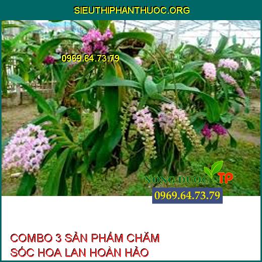 COMBO 3 SẢN PHẨM CHĂM SÓC HOA LAN HOÀN HẢO