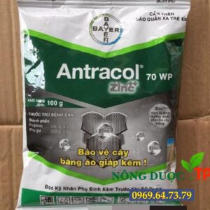 ANTRACOL 70WP Zinc -Ngừa Các Bệnh Do Nấm-Tăng Cường Dinh Dưỡng Cho Cây