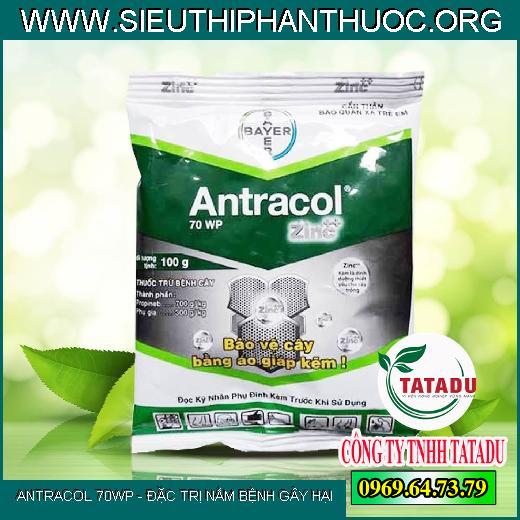ANTRACOL