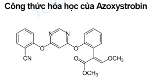 azoxys