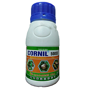 cornil