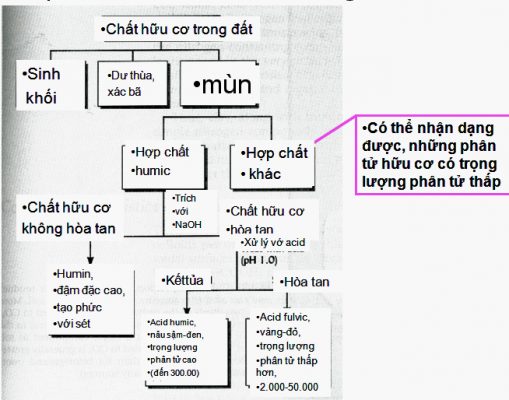 TẦM QUAN TRỌNG CỦA CHẤT HỮU CƠ TRONG MÔI TRƯỜNG ĐẤT