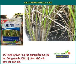 TOTAN 200WP có tác dụng tiếp xúc và tác động mạnh. Đặc trị bệnh khô vằn gây hại trên lúa.