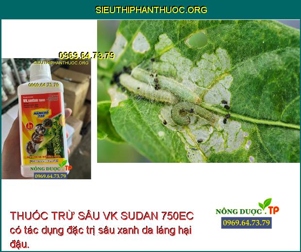 THUỐC TRỪ SÂU VK SUDAN 750EC có tác dụng đặc trị sâu xanh da láng hại đậu.