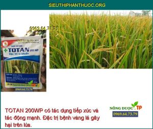 TOTAN 200WP có tác dụng tiếp xúc và tác động mạnh. Đặc trị bệnh vàng lá gây hại trên lúa.