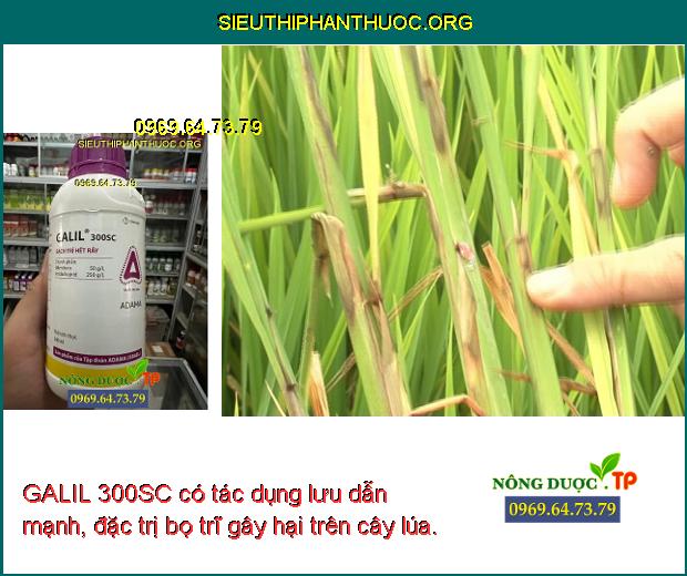 GALIL 300SC có tác dụng lưu dẫn mạnh, đặc trị bọ trĩ gây hại trên cây lúa.