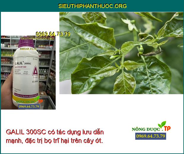 GALIL 300SC có tác dụng lưu dẫn mạnh, đặc trị bọ trĩ hại trên cây ớt.