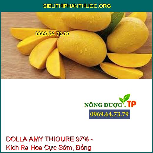 DOLLA AMY THIOURE 97% - Kích Ra Hoa Cực Sớm, Đồng Loạt