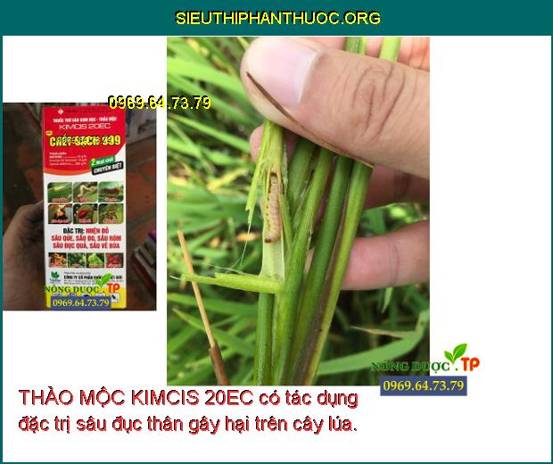 THẢO MỘC KIMCIS 20EC có tác dụng đặc trị sâu đục thân gây hại trên cây lúa.