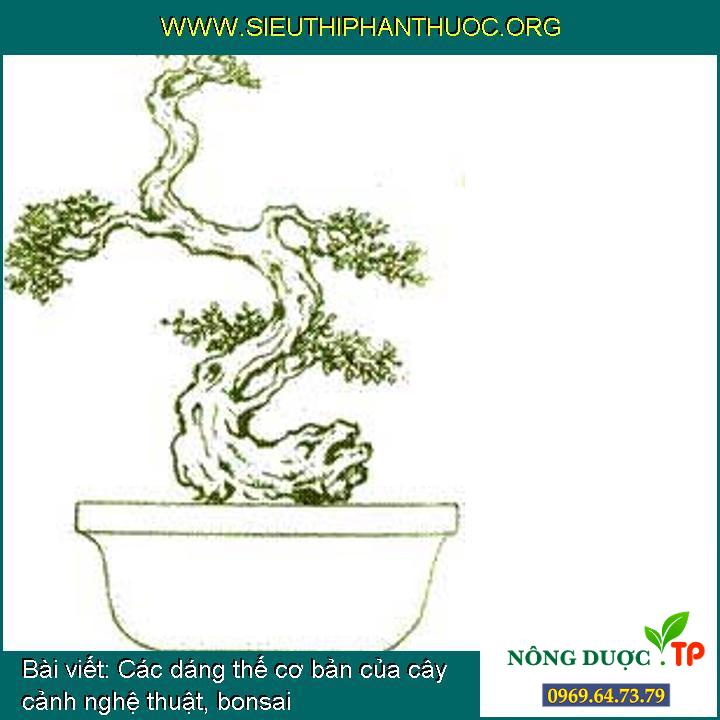 Các dáng thế cơ bản của cây cảnh nghệ thuật, bonsai