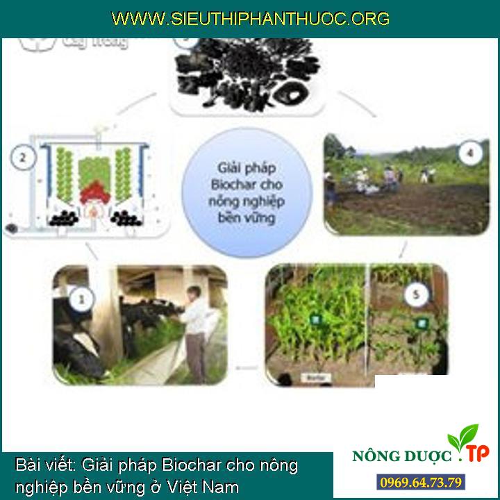 Giải pháp Biochar cho nông nghiệp bền vững ở Việt Nam