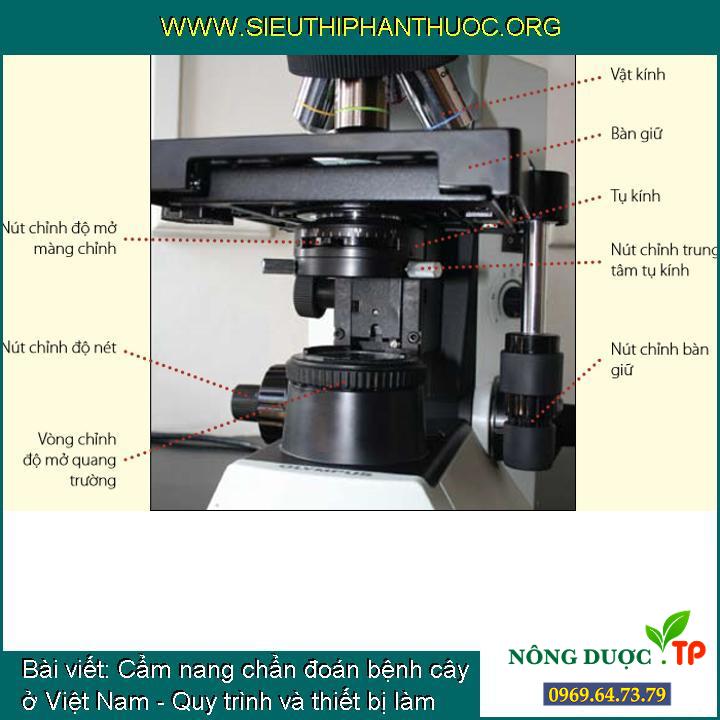 Cẩm nang chẩn đoán bệnh cây ở Việt Nam - Quy trình và thiết bị làm việc trong phòng thí nghiệm