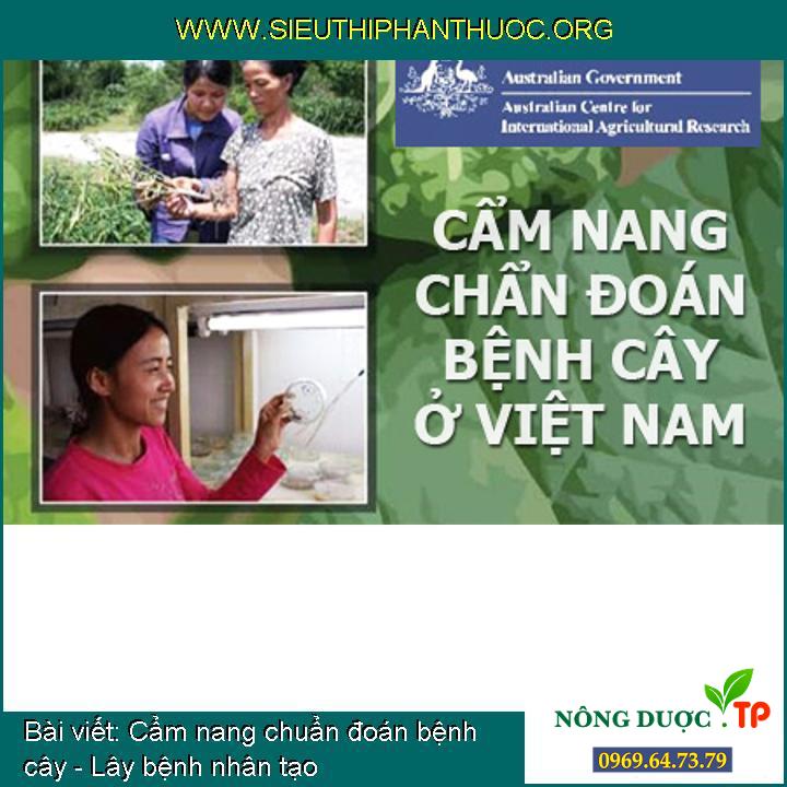 Cẩm nang chẩn đoán bệnh cây ở Việt Nam - Triệu chứng bệnh cây