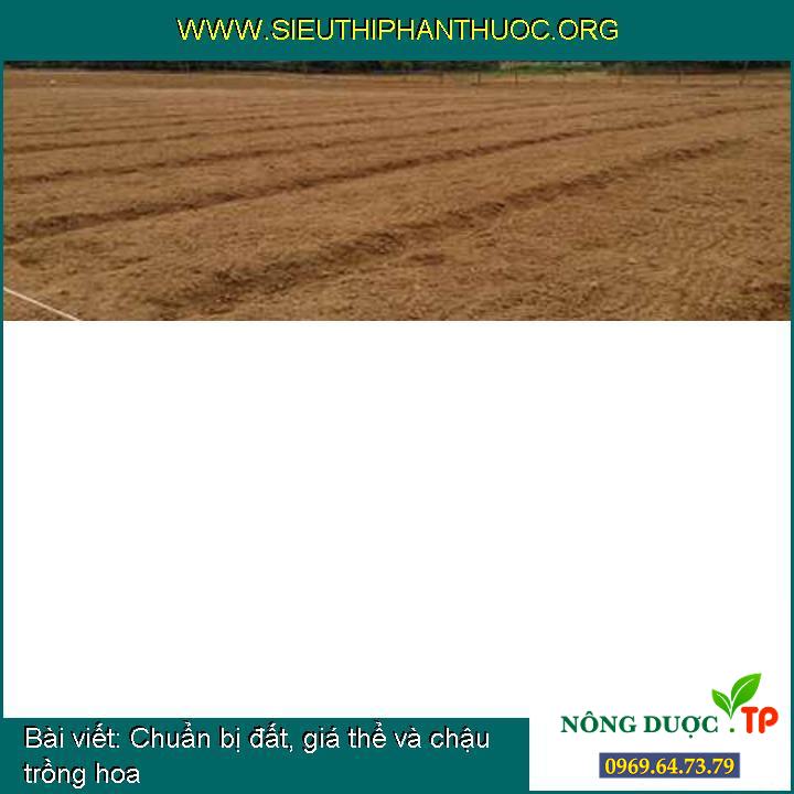 Chuẩn bị đất, giá thể và chậu trồng hoa