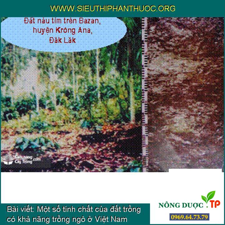Một số tính chất của đất trồng có khả năng trồng ngô ở Việt Nam