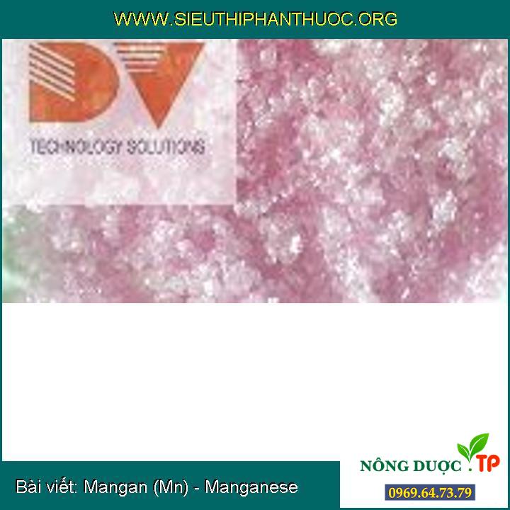 Mangan (Mn) - Manganese