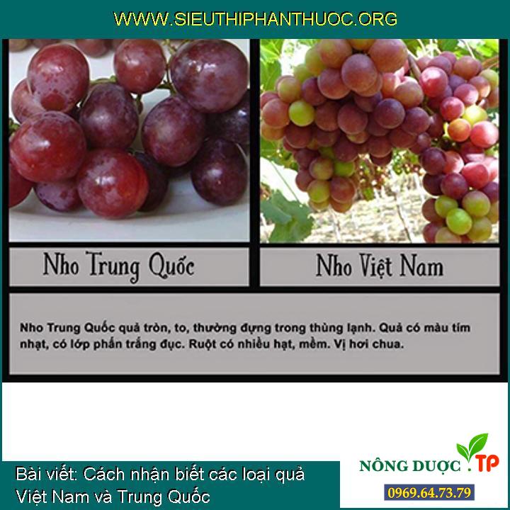 Cách nhận biết các loại quả Việt Nam và Trung Quốc