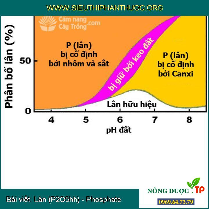 Lân (P2O5hh) - Phosphate