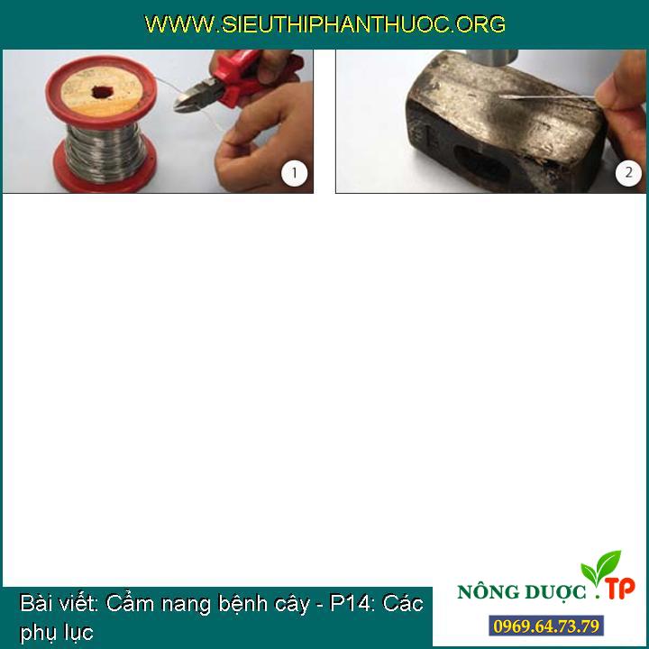 Cẩm nang bệnh cây - P14: Các phụ lục
