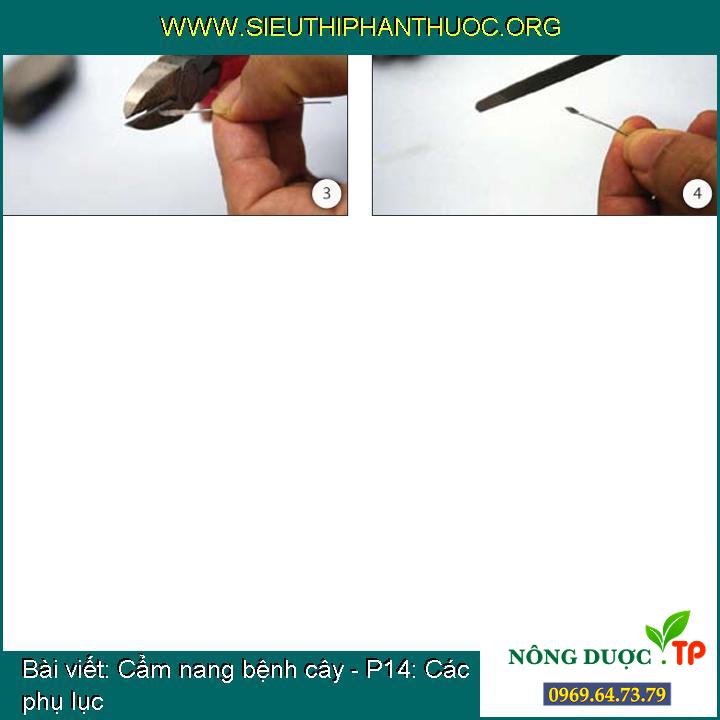 Cẩm nang bệnh cây - P14: Các phụ lục