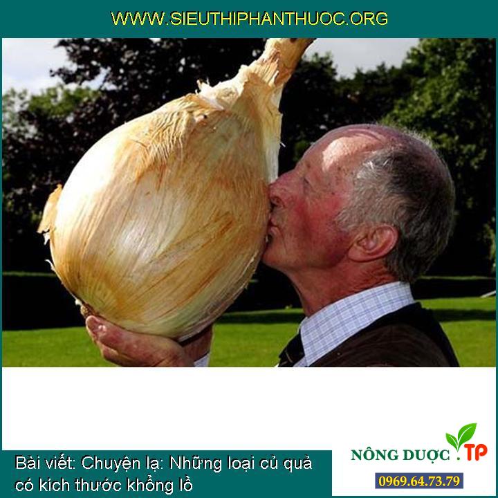 Chuyện lạ: Những loại củ quả có kích thước khổng lồ