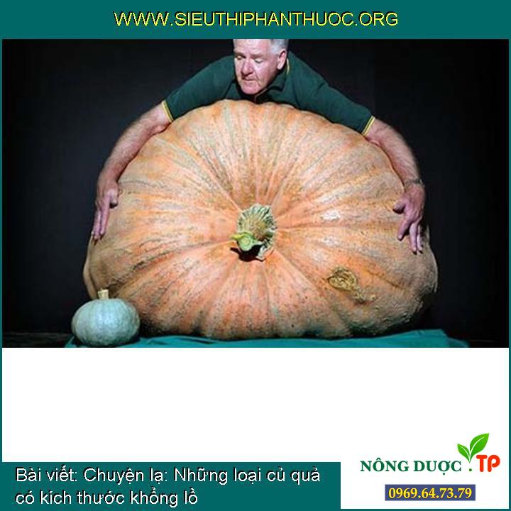 Chuyện lạ: Những loại củ quả có kích thước khổng lồ