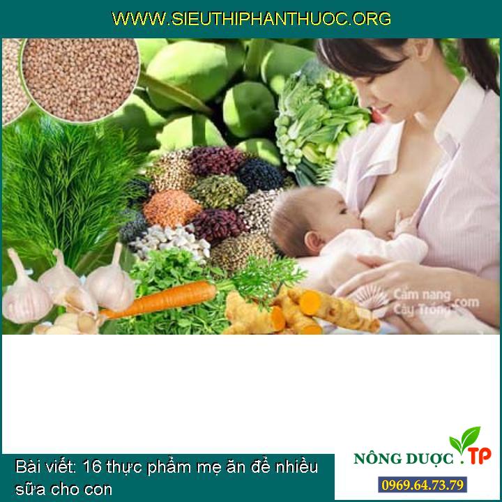 16 thực phẩm mẹ ăn để nhiều sữa cho con