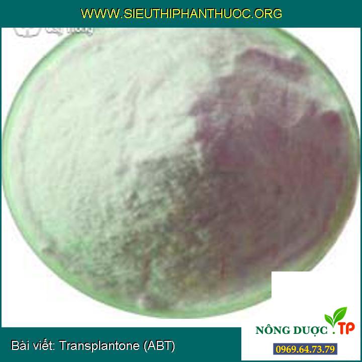 Transplantone (ABT)