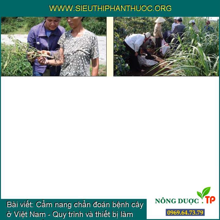 Cẩm nang chẩn đoán bệnh cây ở Việt Nam - Quy trình và thiết bị làm việc trên đồng ruộng