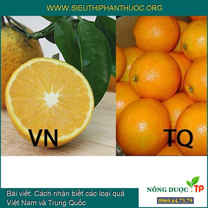Cách nhận biết các loại quả Việt Nam và Trung Quốc