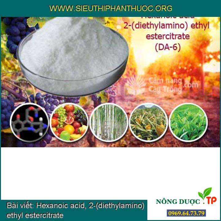 Hexanoic acid, 2-(diethylamino) ethyl estercitrate