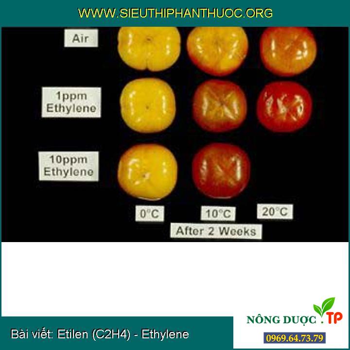 Etilen (C2H4) - Ethylene