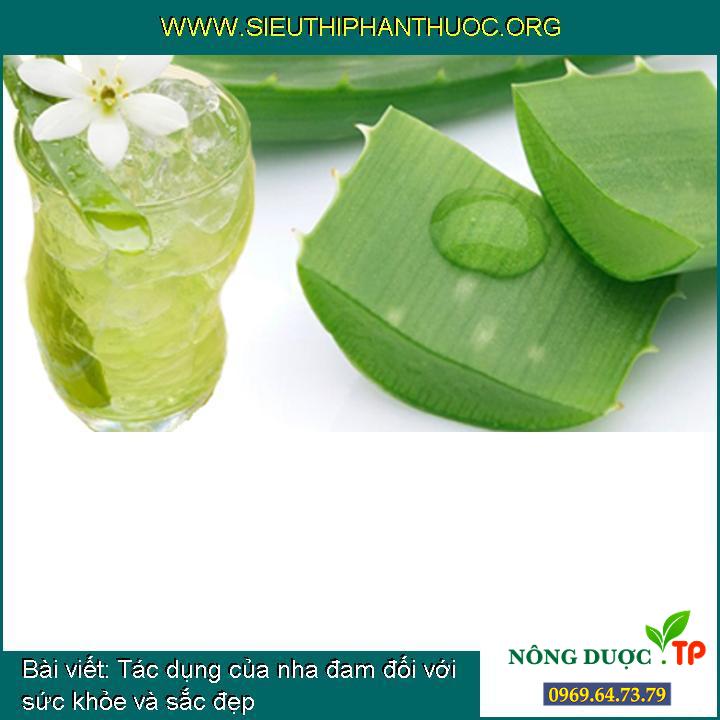 Tác dụng của nha đam đối với sức khỏe và sắc đẹp